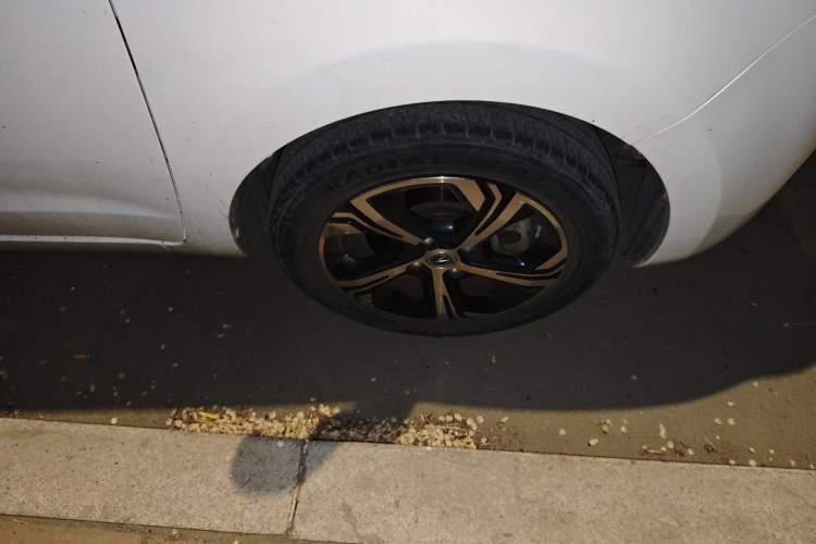 Used CHANGAN Benni E-Star 2021 National Edition Xin Yue Version Lithium-Ion Battery