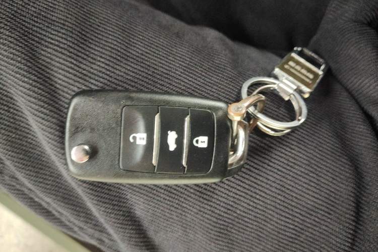 Used Qiyuan Lumin 2022 210km Sweet Edition