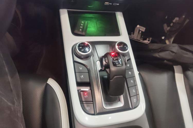 Used Tank 300 2021 City Edition 2.0T—Truly Stylish