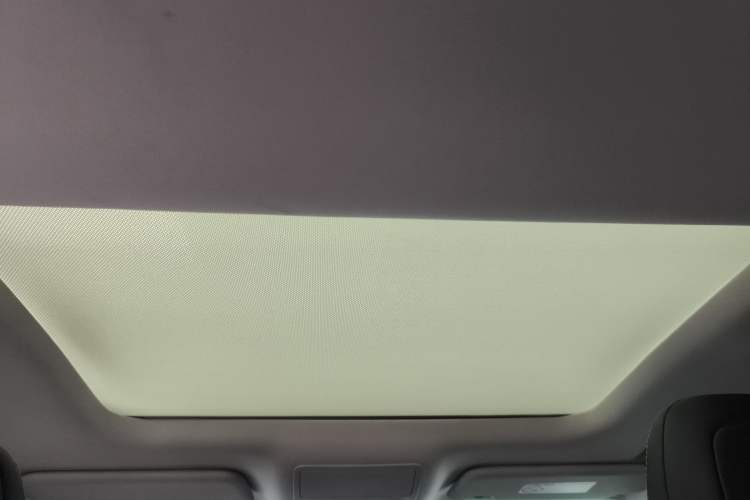 Used Ford Focus 2019 Sedan EcoBoost 180 Automatic Trend Edition