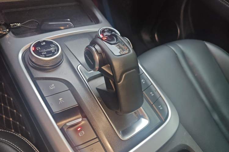 Used Tank 300 2024 2.0T Conqueror
