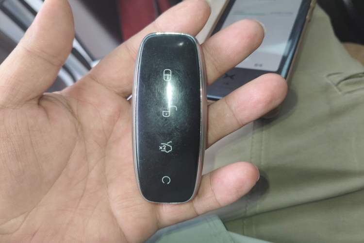 Used Denza D9 2022 EV 600 Four-Wheel Drive Flagship Model
