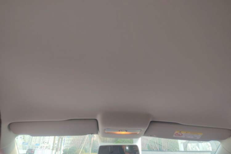 Used Volkswagen Polo 2018 1.5L Automatic Advanced Driving Model Headliner