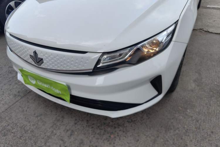 Used Livan Maple 60s 2022 Easy-to-Replace Version Lithium Iron Phosphate
