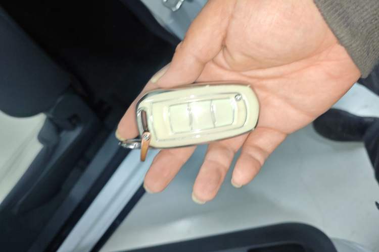 Used Geely Galaxy Panda 2024 200km Panda Rider