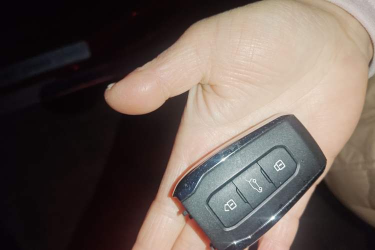 Used BAIC Off-Road BJ20 2016 1.5T CVT Luxury Model