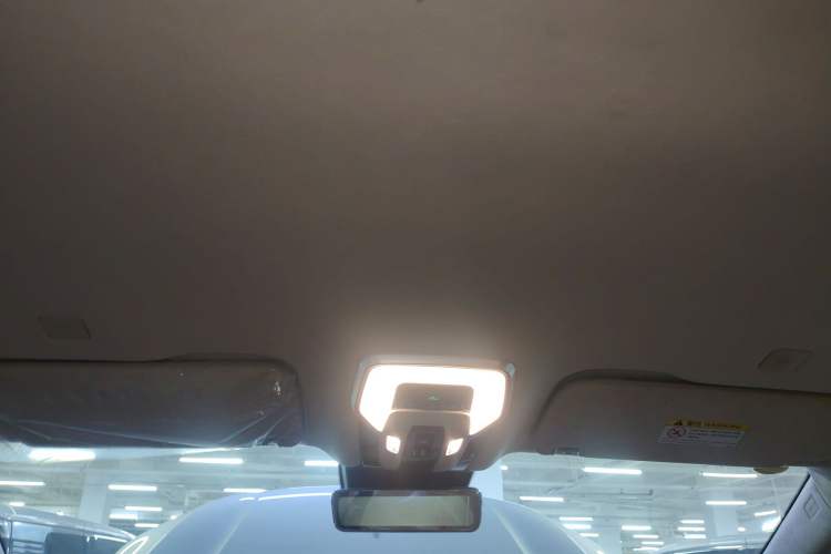 Used Hongqi HQ9 2023 2.0T Smart Connect Flagship Edition Headliner