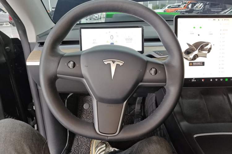 Used Tesla Model Y 2021 Standard Range Rear-Wheel Drive Version
