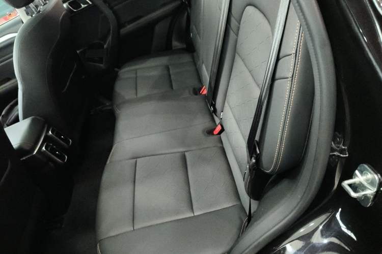 Used Haval DARGO 2021 2.0T DCT 4x4 Chinese Rural Dog Edition Left Rear Seat