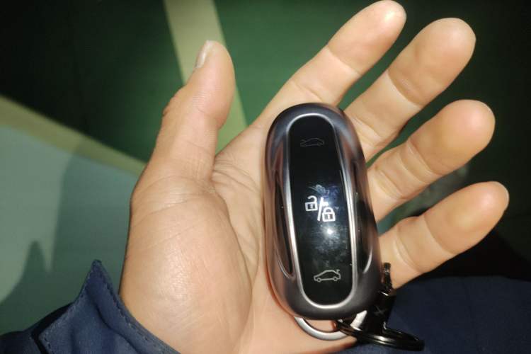 Used Tesla Model X 2017 X 100D Long Range Edition