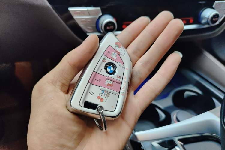 Used BMW 5 Series 2022 Updated 530Li Luxury Edition Premium Package Vehicle Key