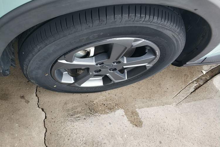 Used Geometry E Firefly 2022 320KM Cute Tiger 5-Seater