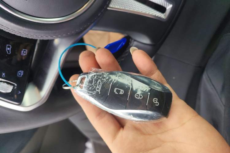 Used Hongqi HQ9 PHEV 2024 2.0T Four-Wheel Drive Business Edition Interior 1