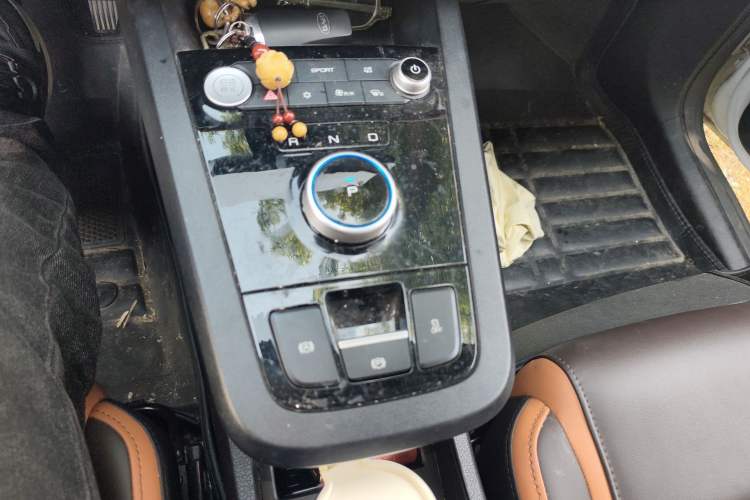 Used BYD e2 2021 Luxury Model Gear Lever