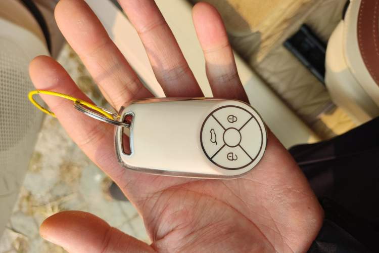 Used ORA Good Cat 2021 400km Standard Range Venus Edition Lithium-Ion Battery
