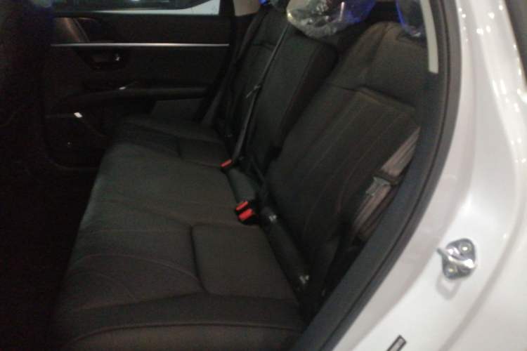 Used Honda P7 2025 Rear-Drive Long-Range Pro
