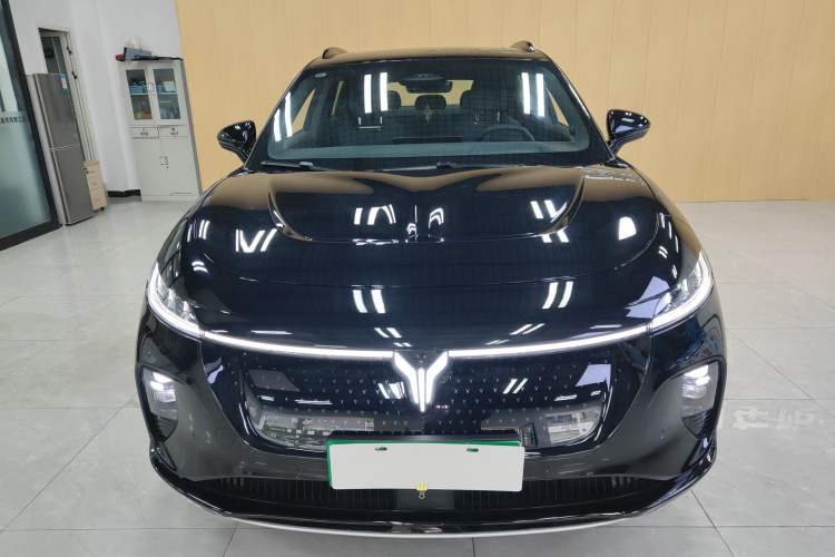 Used VOYAH COURAGE 2024 Four-Wheel Drive Global Edition
