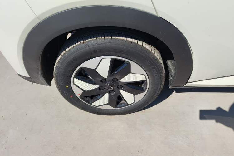 Used BYD Dolphin 2025 420km Free Edition