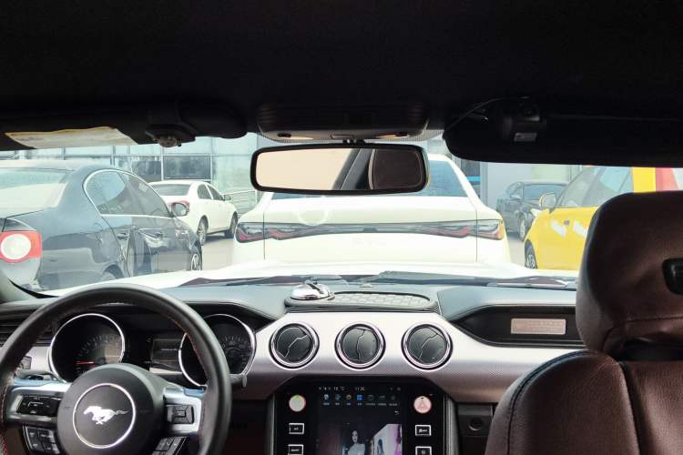 Used Ford Mustang  Headliner