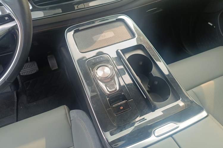 Used AION V 2020 80 MAX Edition Gear Lever