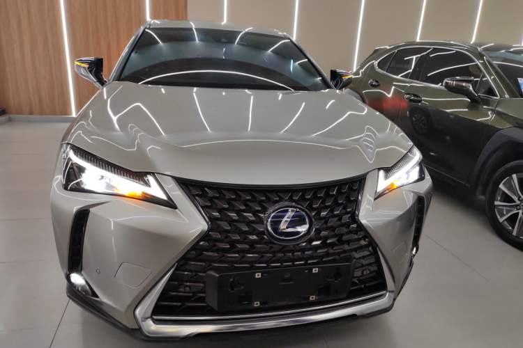 Used Lexus UX New Energy 2020 300e Pure·Joy Edition Exterior 1
