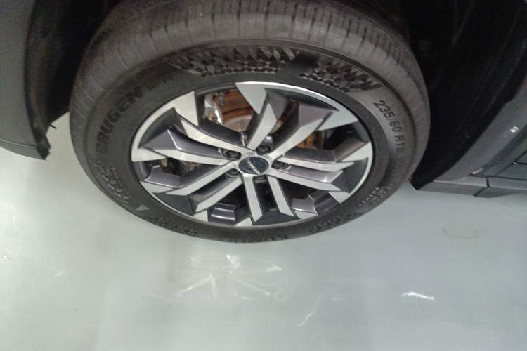 Used Haval H Dog 2023 2.0T Two-Wheel Drive Chaoye Version Plus