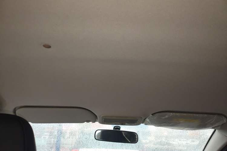 Used SOL E10X 2022 Flower Fairy Design Four-Leaf Clover Headliner