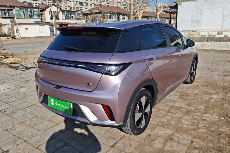 Used BYD Dolphin 2024 Honor Edition 420km Freedom Version