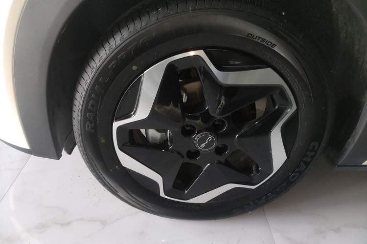 Used BYD Dolphin 2025 Smart Drive Version 420 km Freedom Edition