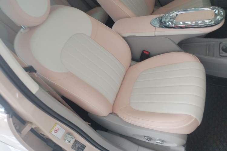 Used ORA Ballet Cat 2022 401 km Nutcracker Edition
