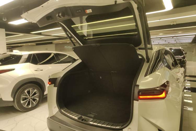 Used Lexus RZ 2023 450e All-Wheel Drive Luxury Edition