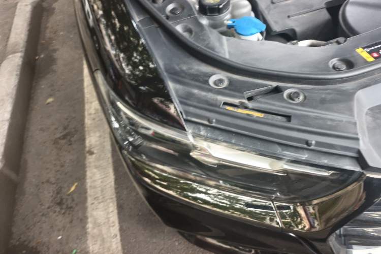 Used Haval H6 2021 National Trend Edition 1.5T Automatic Urban Version