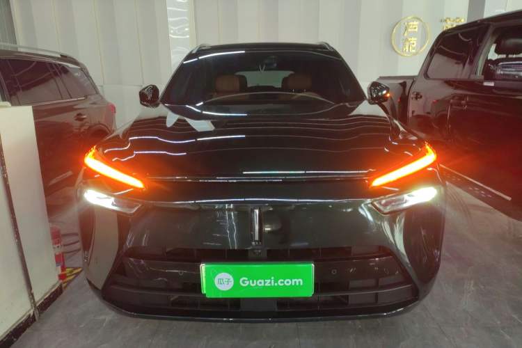 Used Wey Lanshan 2023 Four-Wheel Drive Ultra-Long Range Version Front