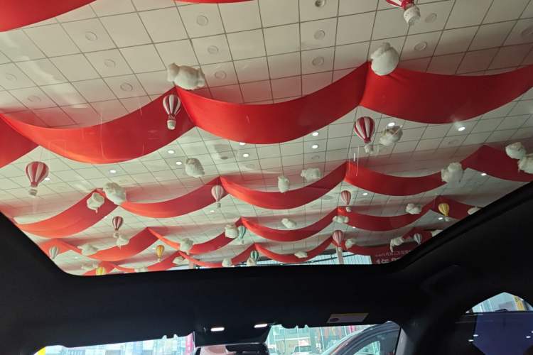 Used Li Auto L6 2024 Max