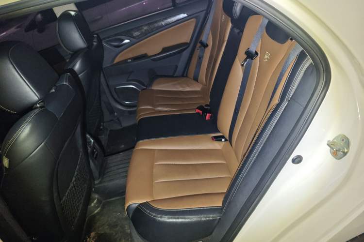 Used BYD Qin New Energy 2017 1.5T Luxury Model