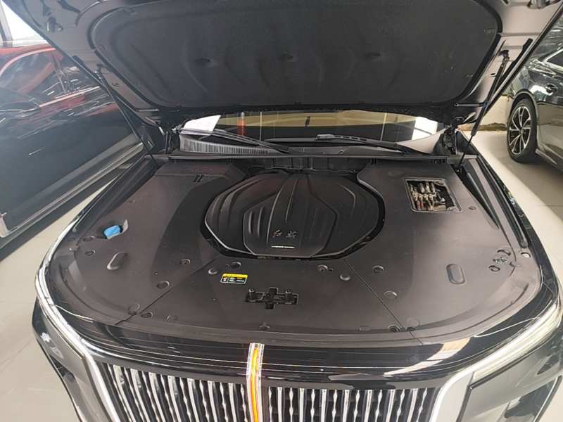 Used Hongqi H9 2020 Revised Version 2.0T Smart Connect Flagship Edition — 19