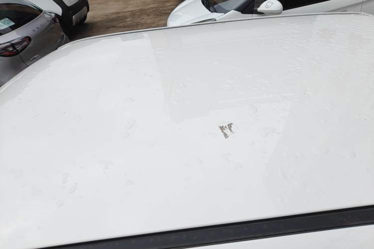 Used CHANGAN NEVO Lumin 2025 205 km Xiangqin Version
