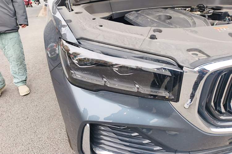 Used Geely Auto Monjaro L 2024 2.0TD High-Power Automatic Two-Wheel Drive Skyline Edition
