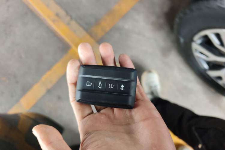 Used Tank 300 2023 City Edition 2.0T—Stylish as Ever