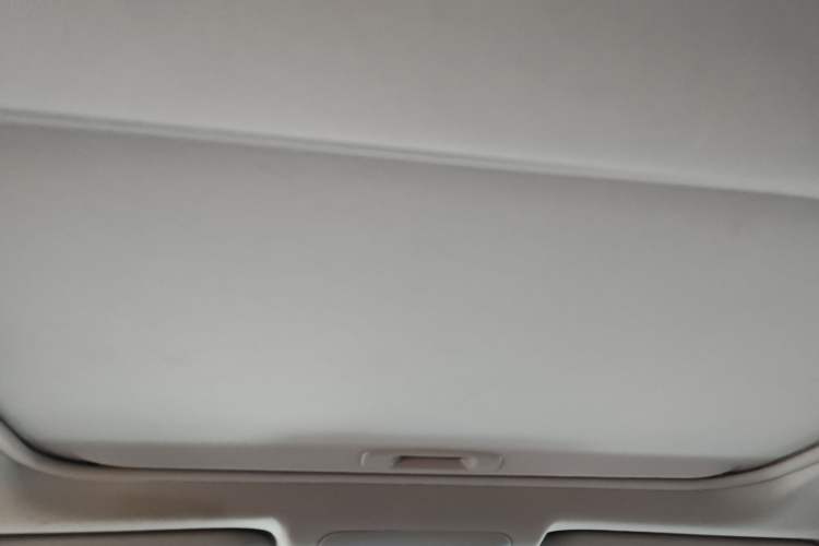 Used Toyota RAV4 2021 2.0L CVT Two-Wheel Drive Fashion PLUS Edition Headliner