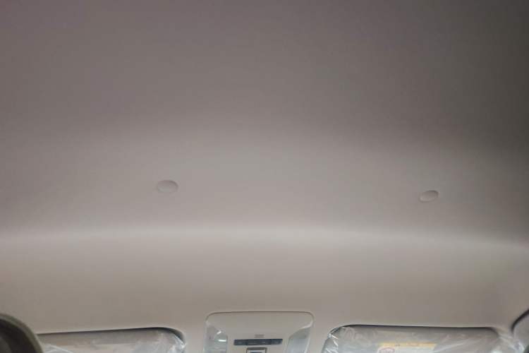 Used Toyota Wildlander 2024 2.0L CVT Two-Wheel Drive Leading Edition Headliner