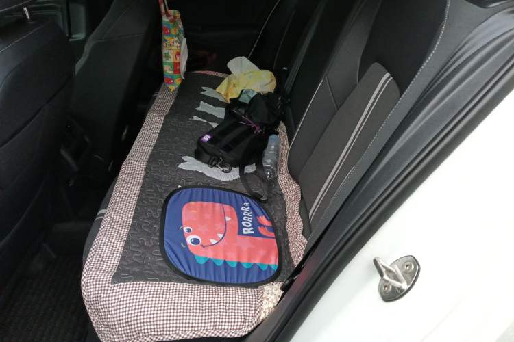 Used Volkswagen Golf 2024 280TSI DSG R-Line 50th Anniversary Edition Left Rear Seat