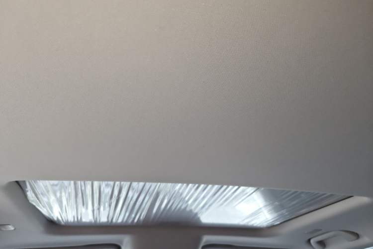 Used Tank 300 New Energy 2025 Hi4-T Headliner