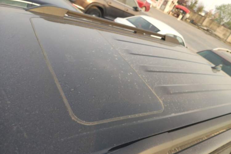 Used Tank 300 2021 Off-Road Edition 2.0T Conqueror Roof