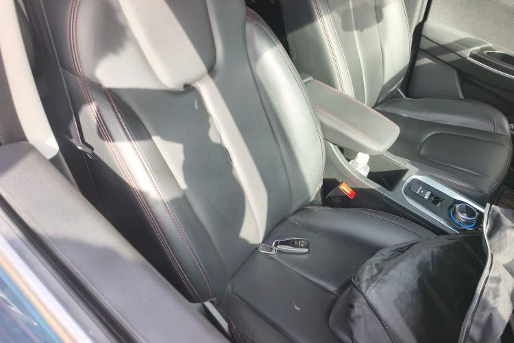 Used Dayun Yuehu 2021 32.85 kWh Two-Wheel-Drive Sprite Version
