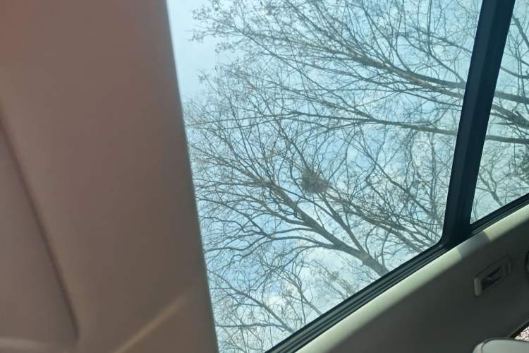 Used CHANGAN OSHAN Z6 2023 Blue Whale 1.5T DCT Smart-Led City Edition Headliner