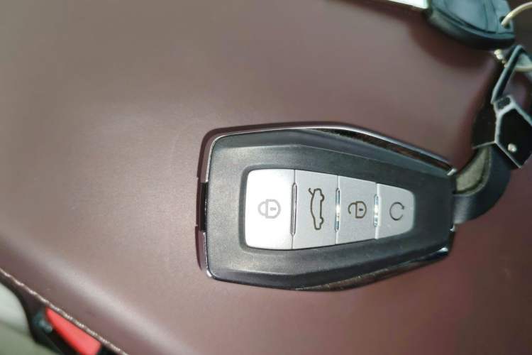 Used Geely Auto Monjaro L 2024 2.0TD High-Power Automatic Two-Wheel Drive Skyline Edition
