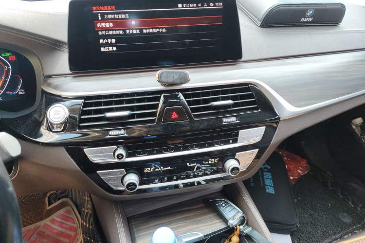 Used BMW 5 Series 2020 530Li Leading Edition Luxury Package