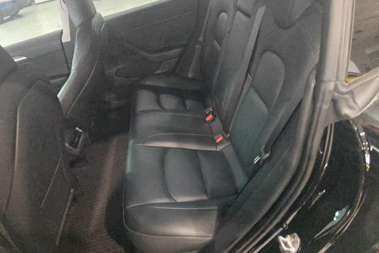 Used Tesla Model 3 2022 Rear-Wheel-Drive Version Left Rear Seat