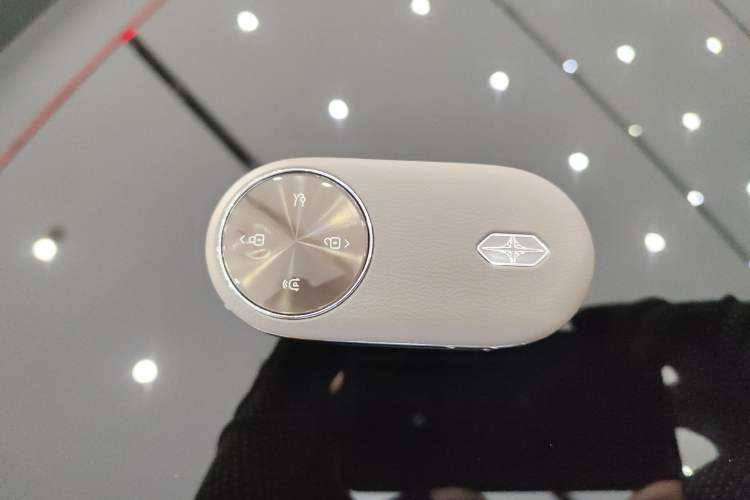 Used Hima S9T 2025 Model Pure Electric Four-Wheel-Drive Ultra
